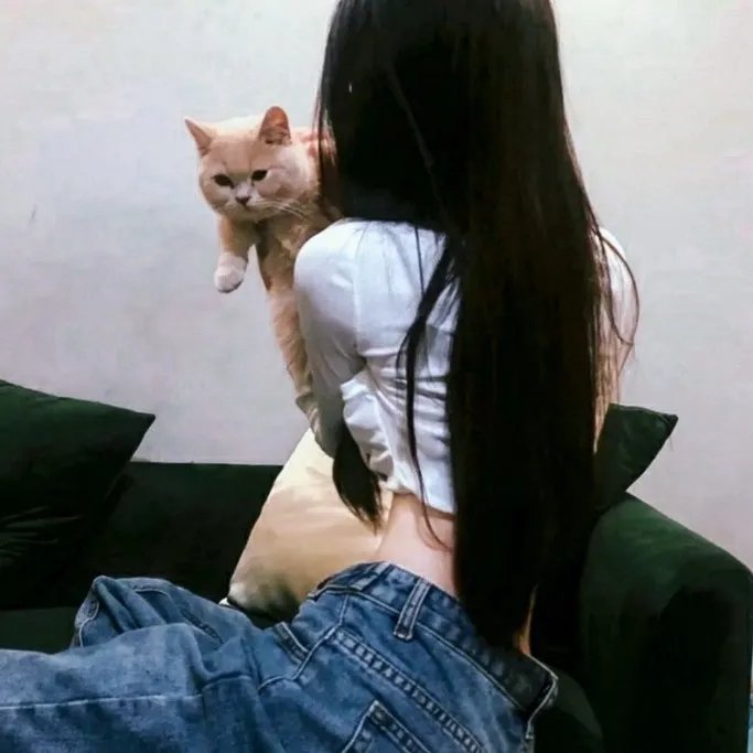 发条橙