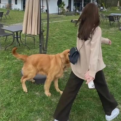 无尽列车第二季