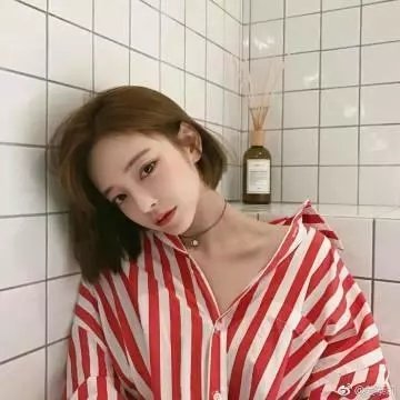 与鲨共游